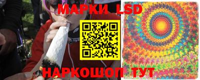 спайс Кингисепп
