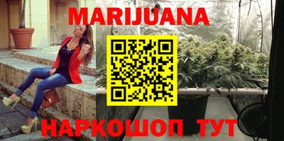 спайс Кингисепп