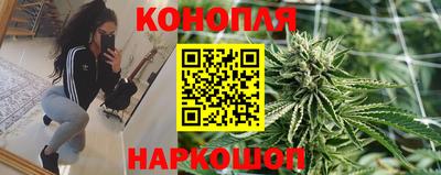 индика Кинель