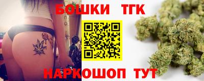 спайс Кингисепп
