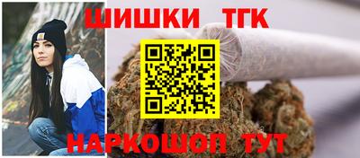 индика Кинель