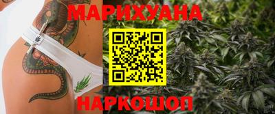 индика Кинель