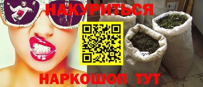 спайс Кингисепп