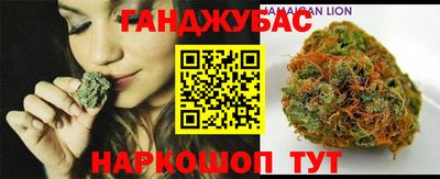 спайс Кингисепп