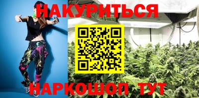 спайс Кингисепп