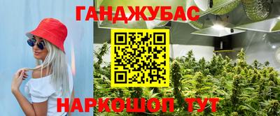 индика Кинель