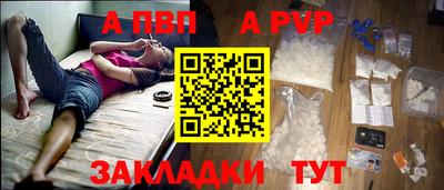 спайс Кингисепп