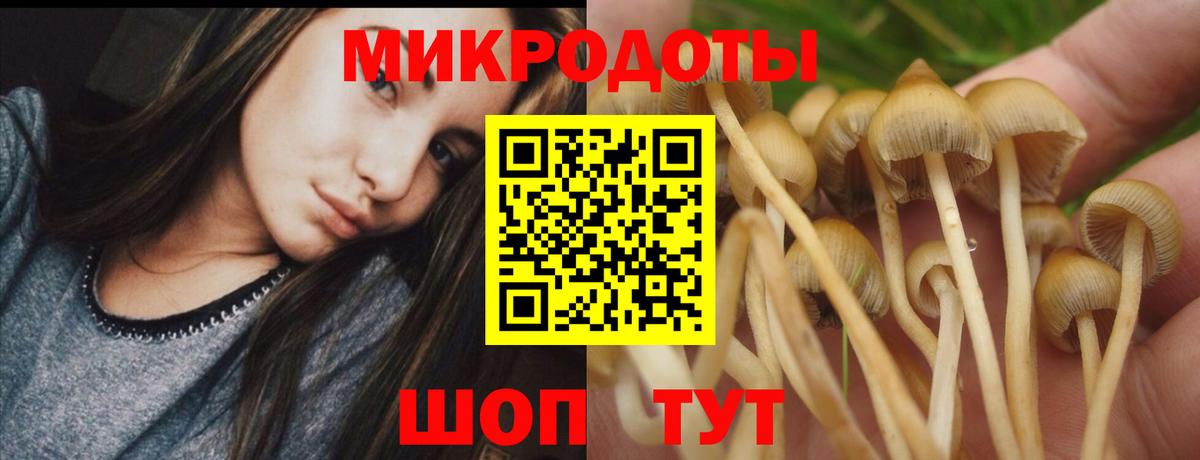 Ульяновск  Псилоцибиновые грибы Psilocybe  Вход с VPN 